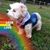 Lisa Harris's profile image