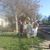 Sharron M Garver Wroten's profile image