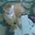 Holly Potter's profile image