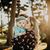 Mairin Haley's profile image