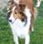 Rhett Gunter's profile image