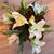 Kathy Aron Dowell's profile image