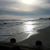 Michelle Ess's profile image