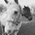 Sheila Stoll's profile image