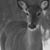 Brenda Edmunds Chatham's profile image
