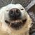 Becky Sievers's profile image