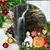 Mona L. MillerBussart's profile image