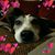 Beth Brunelle's profile image