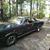 Fawnette Honeycutt's profile image