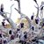 Golden Isles Gymnastics's profile image
