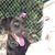 Susi Hesse's profile image
