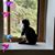 Deanna Schwartz's profile image