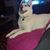 Casie Oldenhoff's profile image