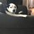 Tricia Krider Meyer's profile image