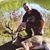 Matt Bunn's profile image
