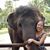 Christine Mau's profile image