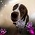 Becky May's profile image