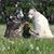 Diane Howe's profile image
