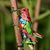 Sandra J Teel's profile image