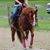 Tiffany Neal's profile image
