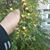 Alberto Lopez's profile image