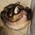 Tulsi Cahill's profile image