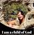 Yvette Goodson's profile image