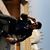 Amyt Bhatt's profile image