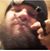 Bobert Mackintosh's profile image