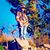 Bridger Bingham's profile image