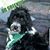 Mel Hansen's profile image