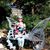 Wanda Mintz's profile image