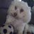 Ann Pachasa's profile image