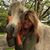Leigh Plaginos Britain's profile image