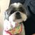 Denise Suen's profile image