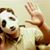 Damian Rodriguez's profile image