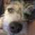 Haydn Huehl's profile image