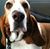 Mary Beth Bacarisse's profile image