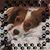 Tracee Hyland's profile image