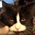 Skip Macedo's profile image