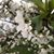 Theresa Kirkpatrick's profile image