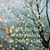 Samantha Franklin Wester's profile image
