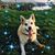 Vanessa Klettke Franklin's profile image