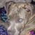 Brenda Silver's profile image