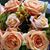 Wendi Reynolds Donahue's profile image