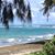 Betty Gede Shank's profile image
