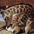 Karen Konrad McCrory's profile image
