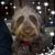 Paul Cowie's profile image