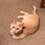 Heather M. Monell's profile image