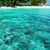 Nelly Willimas-Salemi's profile image